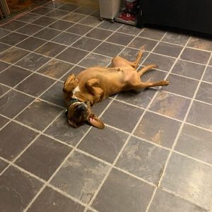 Meet your Posher, Tessa